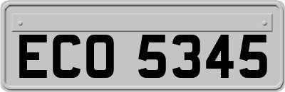 ECO5345
