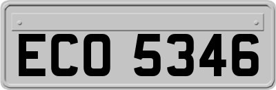 ECO5346