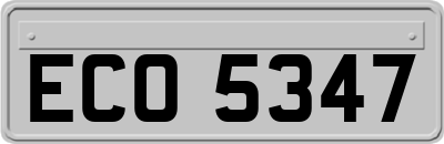 ECO5347
