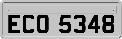 ECO5348