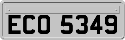 ECO5349