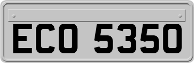 ECO5350
