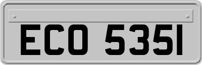 ECO5351