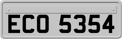 ECO5354