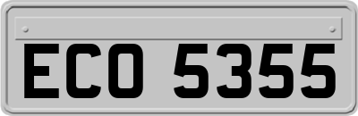 ECO5355