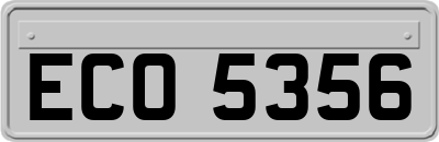 ECO5356