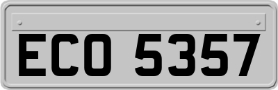 ECO5357