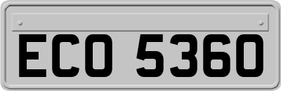 ECO5360