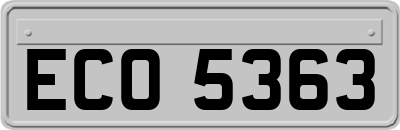 ECO5363