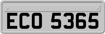 ECO5365