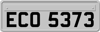 ECO5373