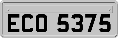 ECO5375