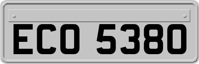 ECO5380