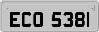 ECO5381
