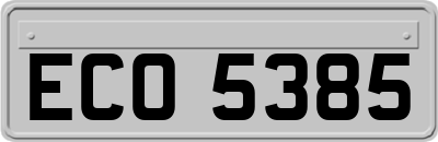 ECO5385