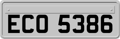 ECO5386