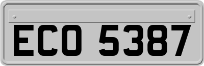 ECO5387