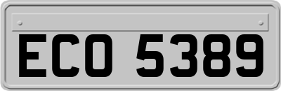 ECO5389