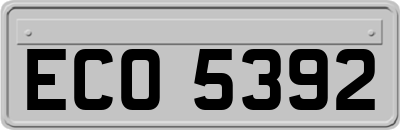ECO5392