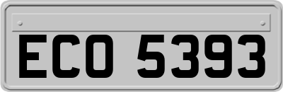 ECO5393
