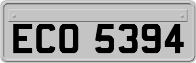 ECO5394