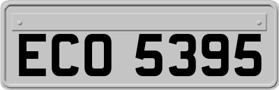 ECO5395