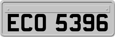 ECO5396