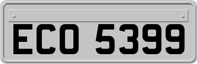 ECO5399