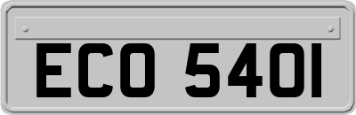 ECO5401
