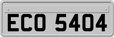 ECO5404