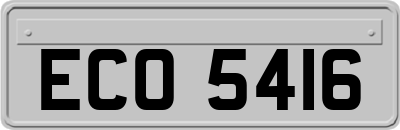ECO5416