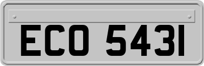 ECO5431