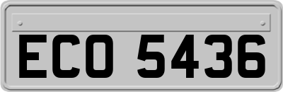 ECO5436