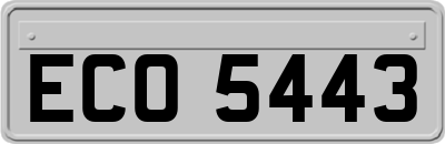 ECO5443