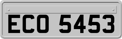 ECO5453