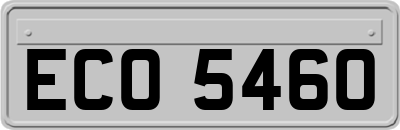 ECO5460