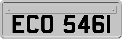 ECO5461