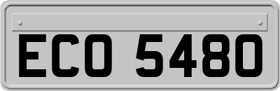 ECO5480