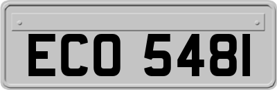 ECO5481