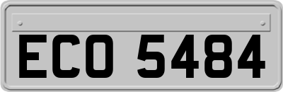 ECO5484