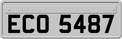 ECO5487