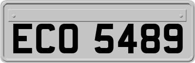 ECO5489