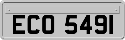 ECO5491