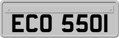 ECO5501