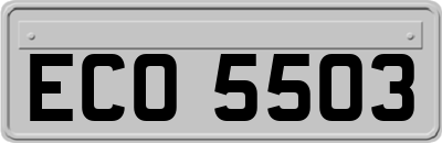 ECO5503