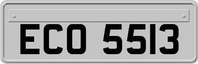 ECO5513