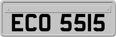 ECO5515