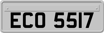 ECO5517