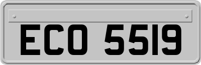 ECO5519