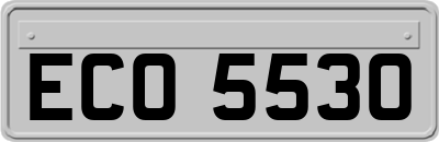ECO5530